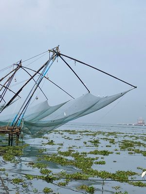 Fishing in the Arabian Sea